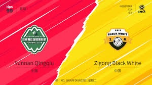 法甲精彩对决：尼斯迎战巴黎圣日耳曼